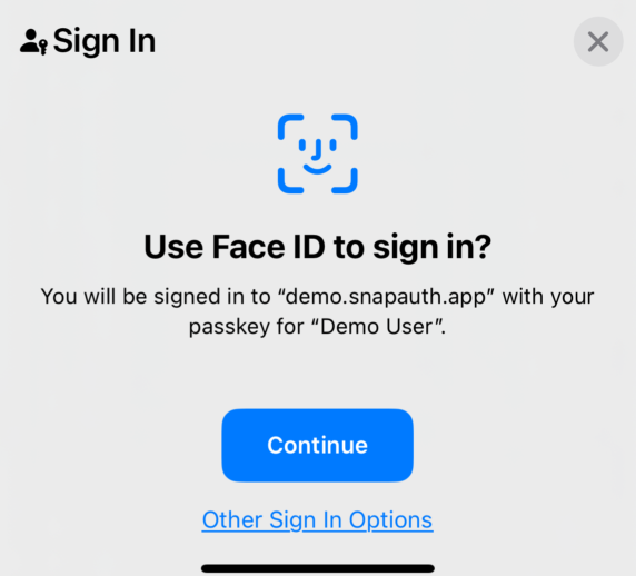 Screenshot of passkey sign in on iOS